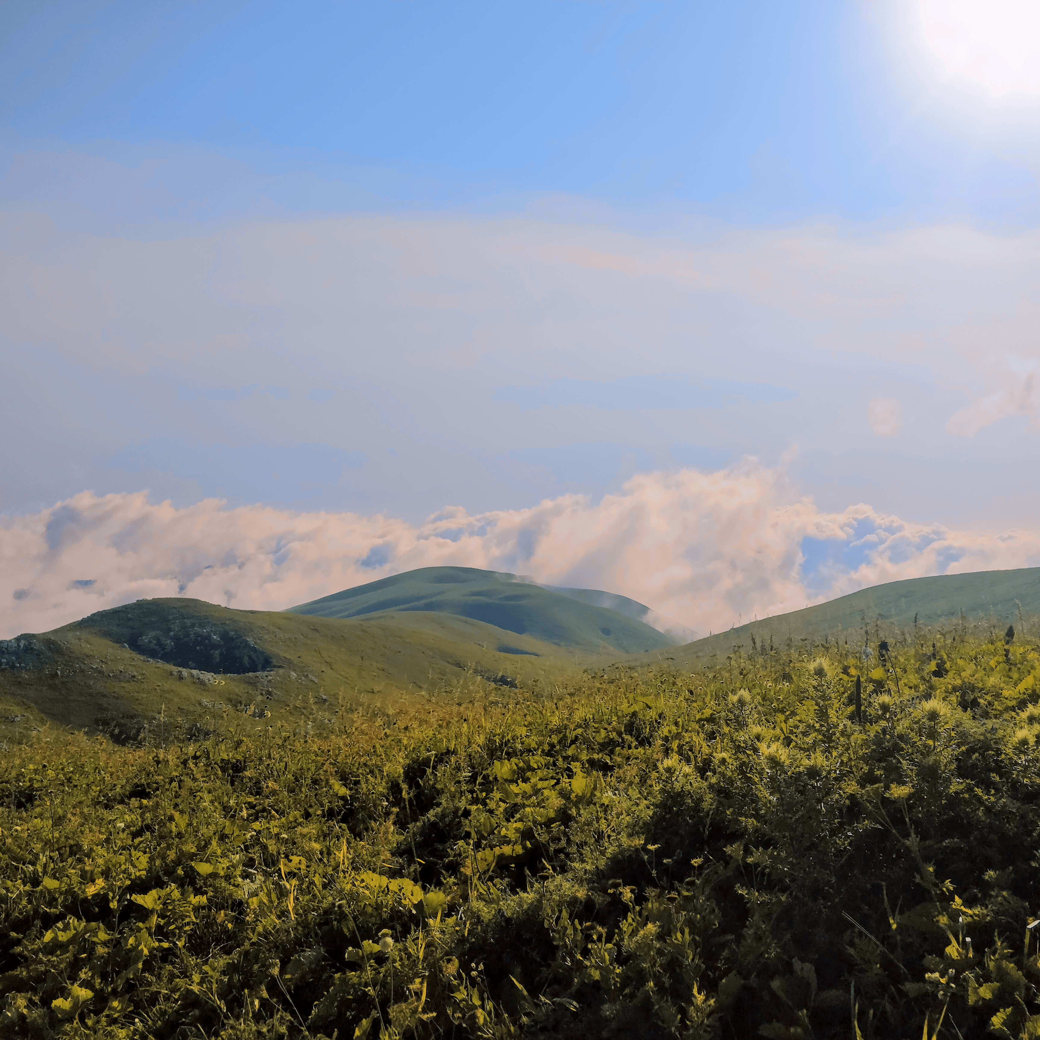 The Rolling Hills of Abkhazia, Georgia